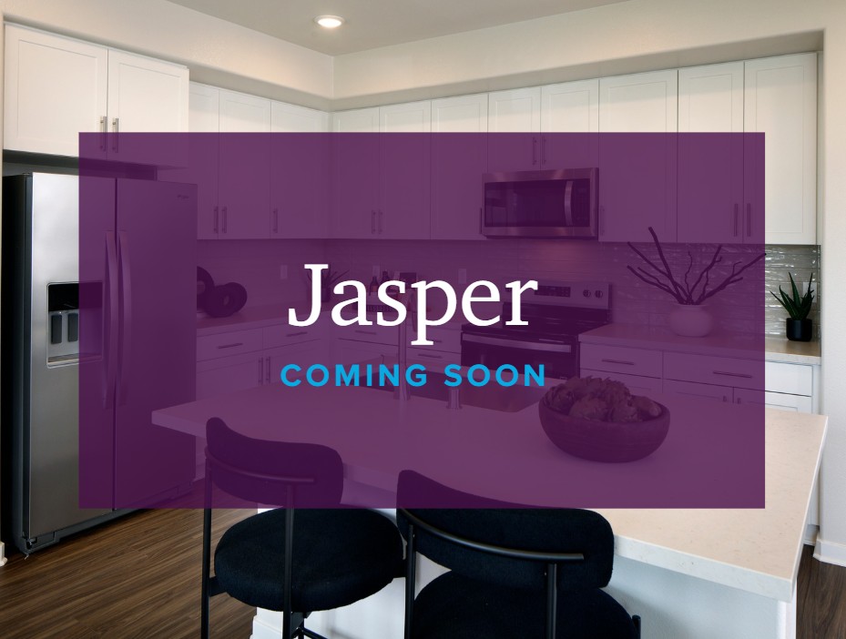A kitchen with purple cabinets.