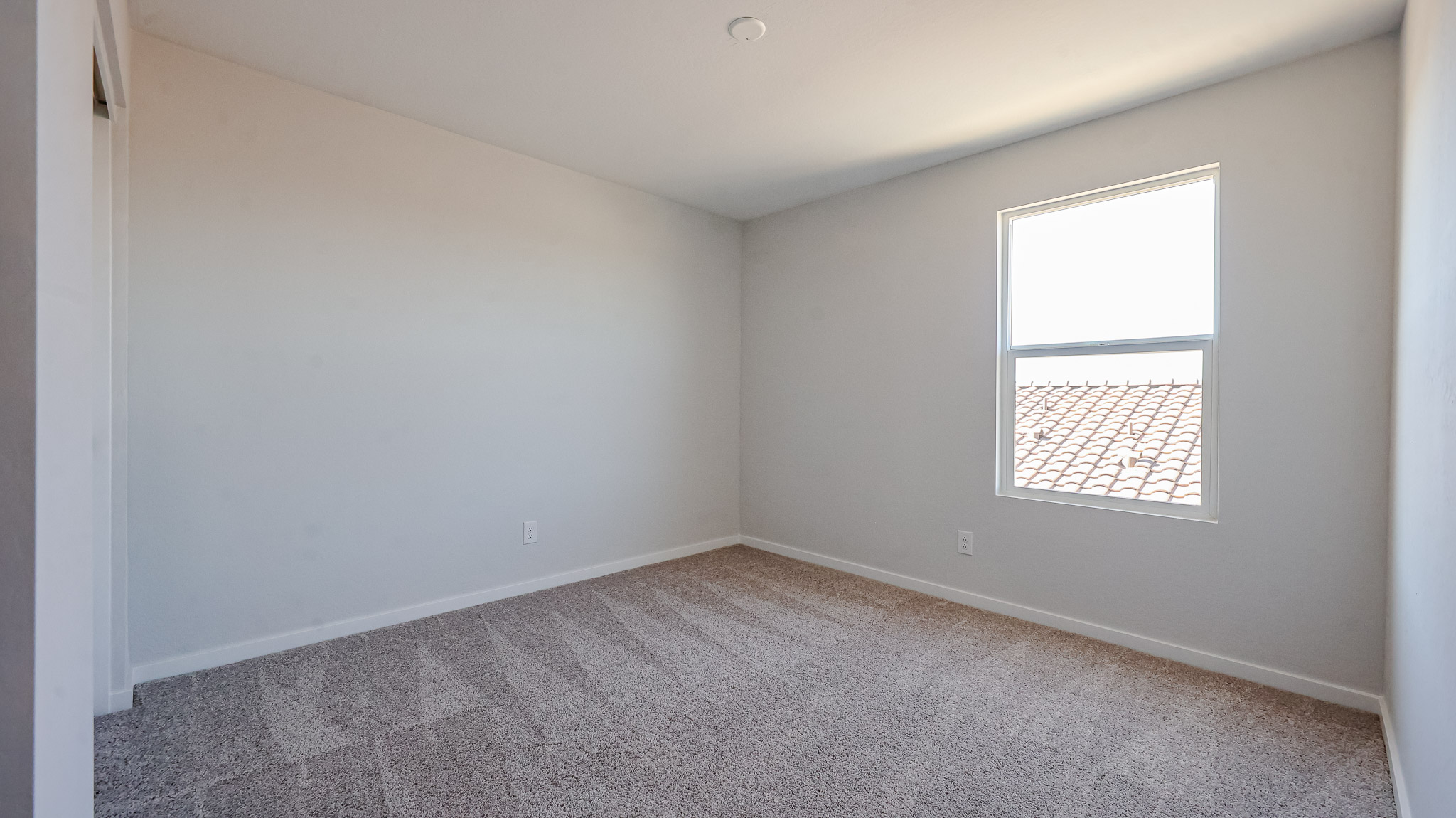 A room with a carpet and a window.