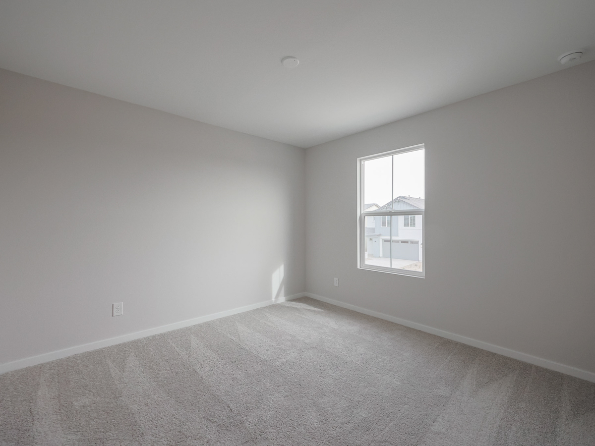 A room with a carpet and a window.