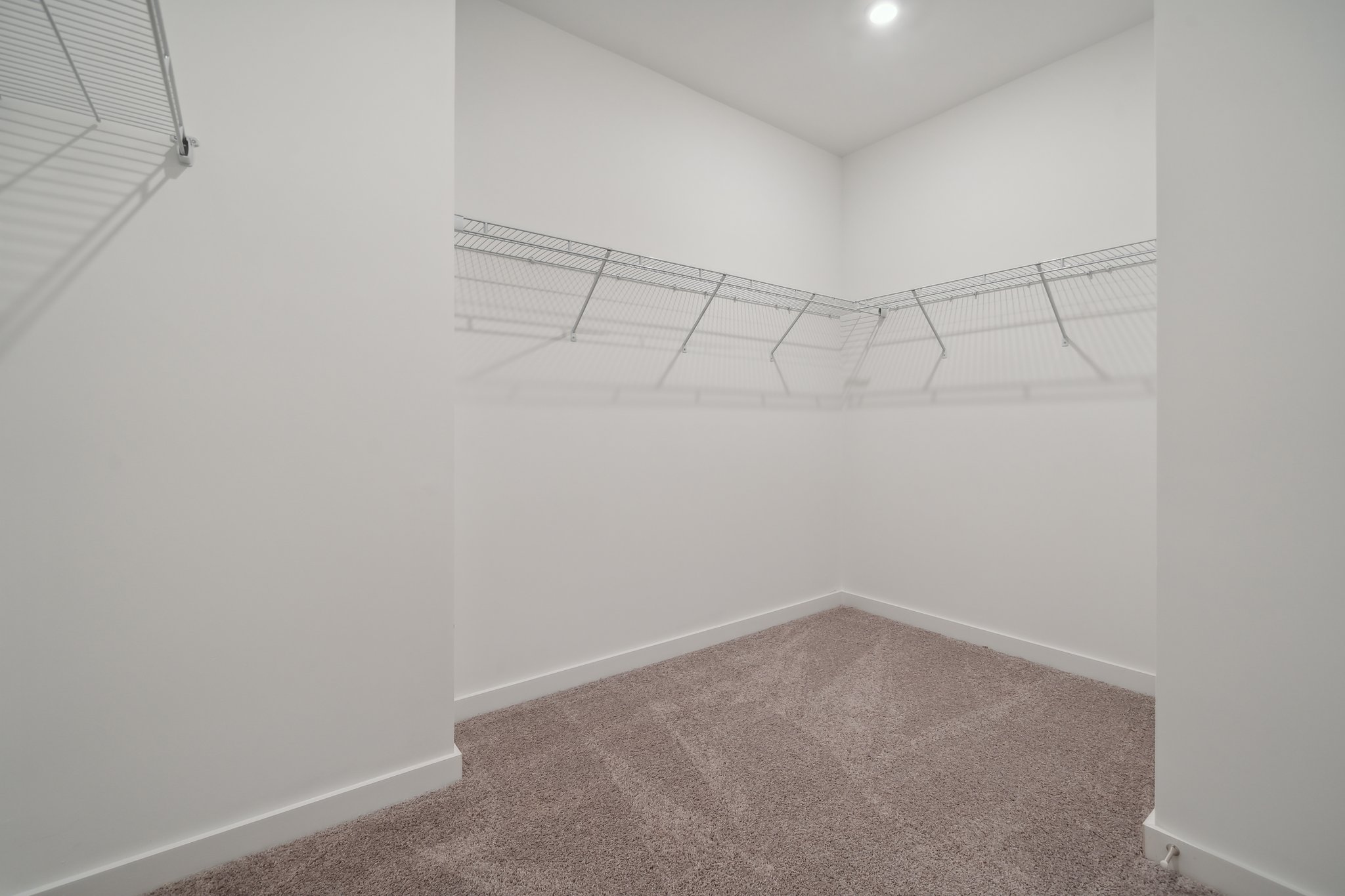 A room with a carpet and a metal railing.