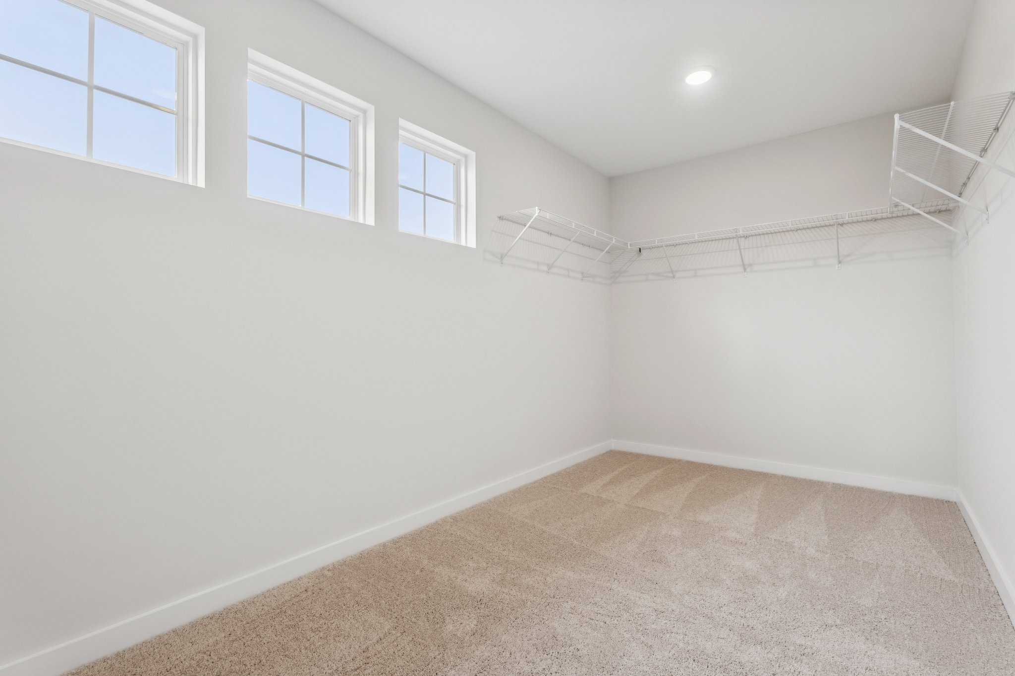 A room with a carpet and windows.