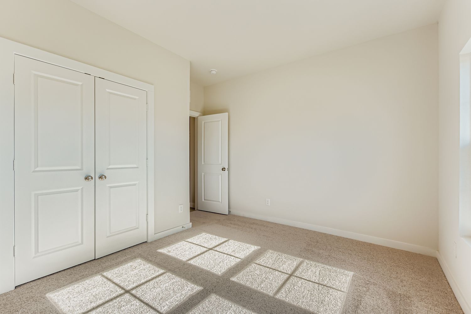 A room with white doors.