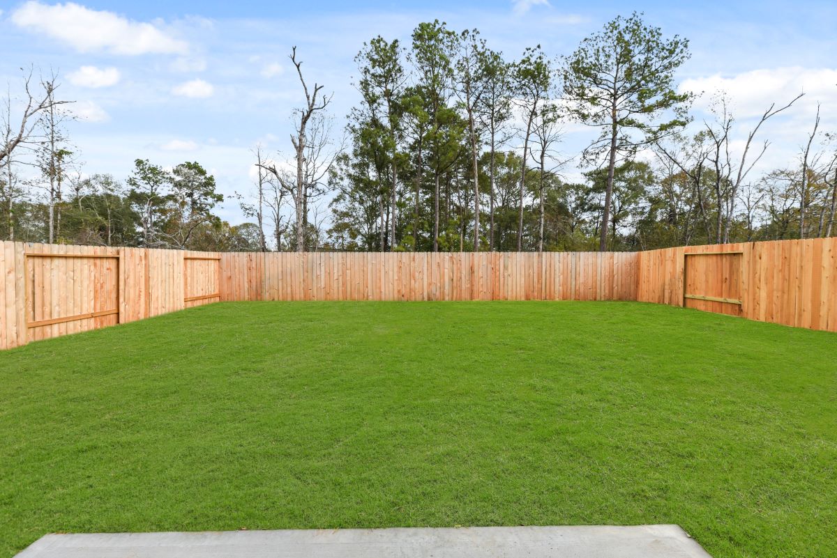 A green grass field.
