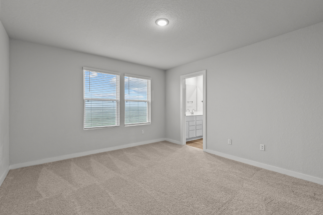 A room with a carpet and windows.