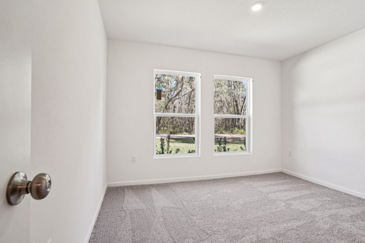 A room with a window and a carpet.