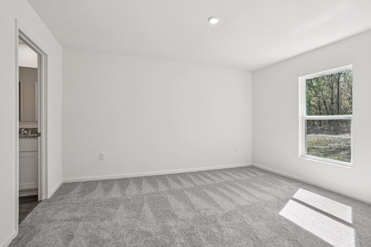 A room with a rug and a window.